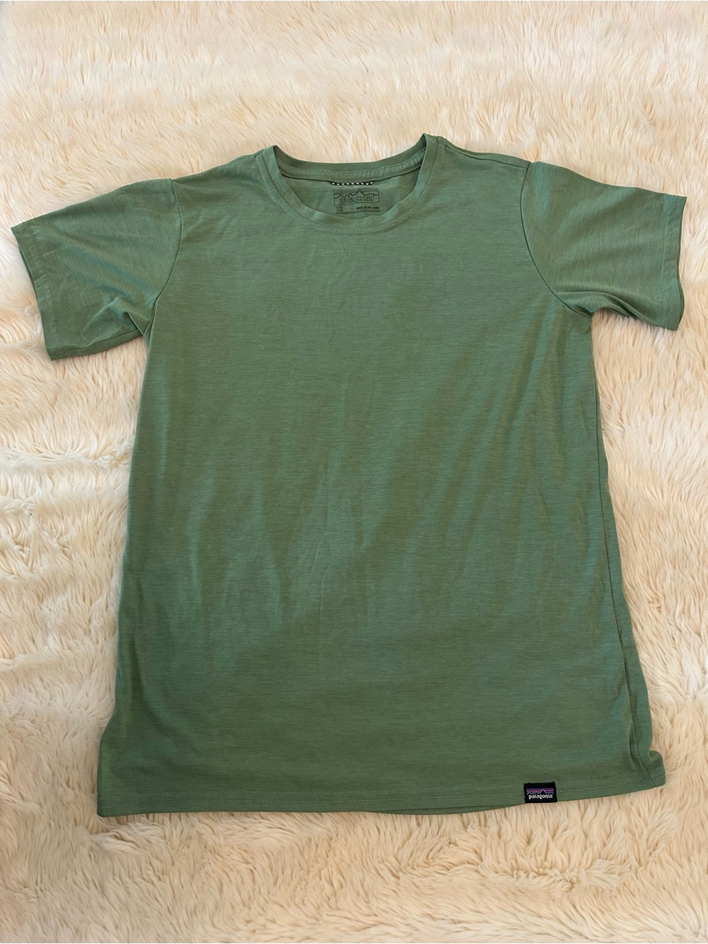 Patagonia Men's Short-Sleeve Crew Tee - Sage Green